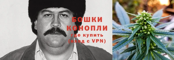 ПСИЛОЦИБИНОВЫЕ ГРИБЫ Абаза