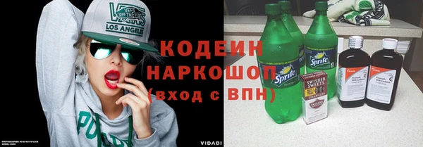 индика Волосово