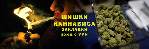 ПСИЛОЦИБИНОВЫЕ ГРИБЫ Абаза