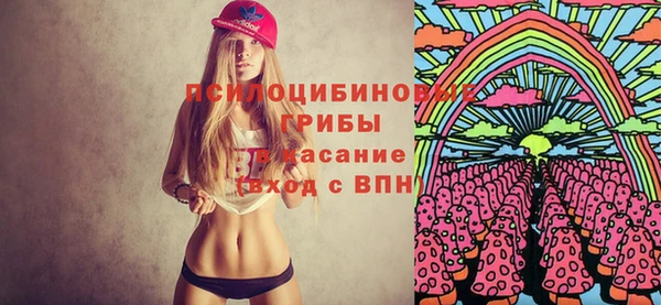 молекула духа Абинск