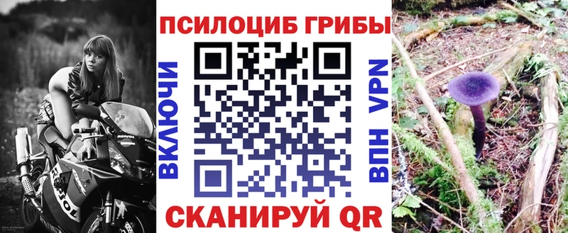 купить наркотик  МЕГА ONION  Галлюциногенные грибы Cubensis  Скопин 